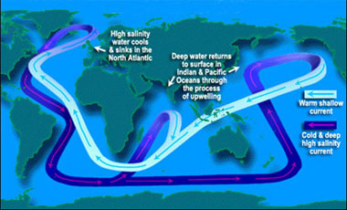 oceanic conveyor belt